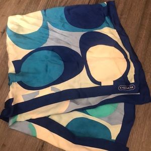 Silk Scarf - Bold Colors